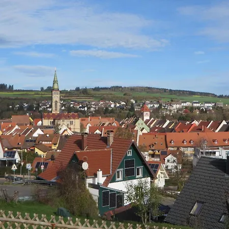 Stadtblick * Bräunlingen